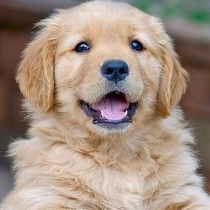 Meet your Posher, Jess